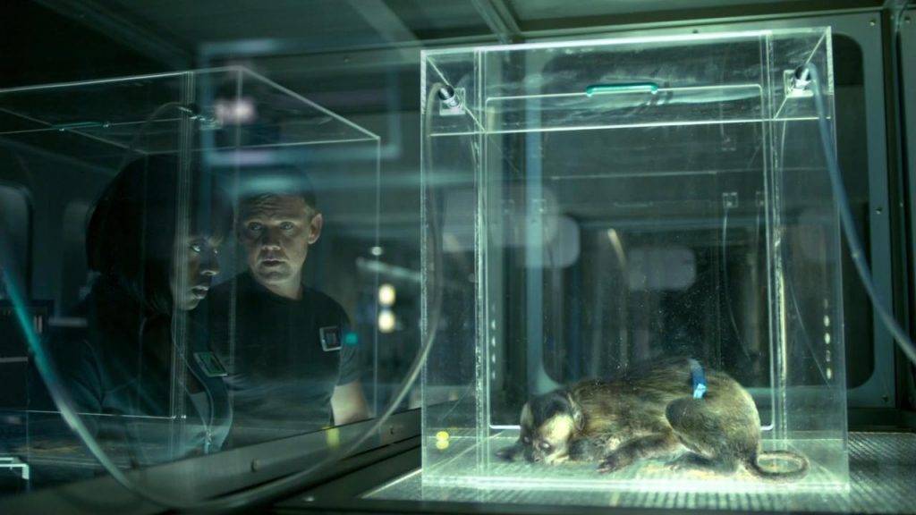 Штамм Андромеда